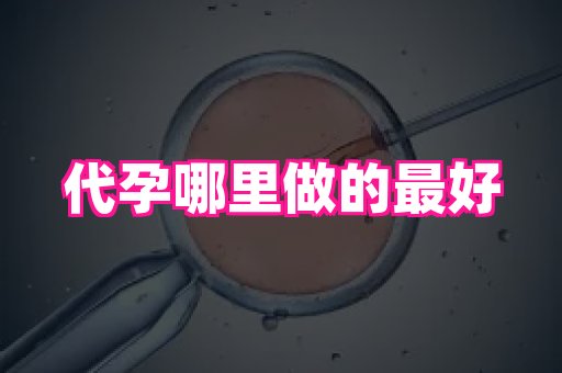福建助孕网 2